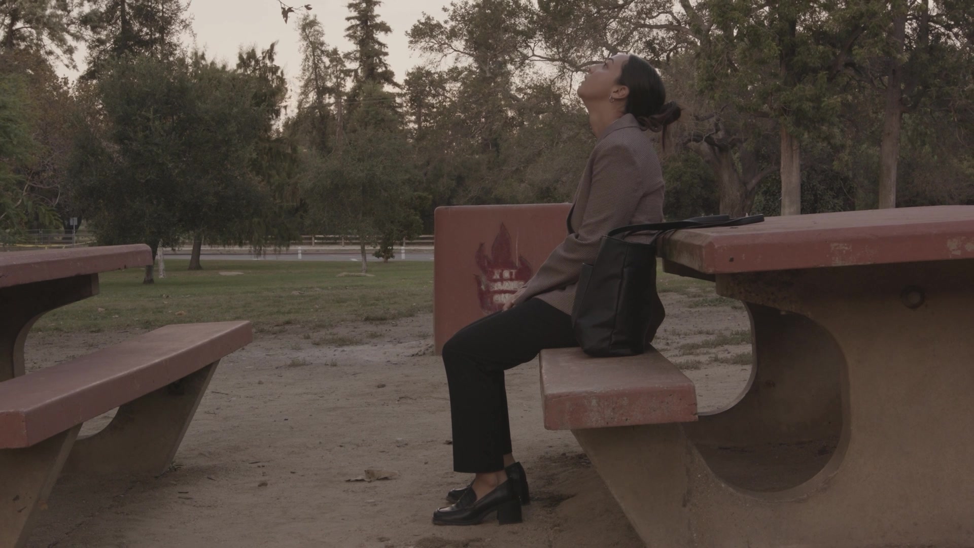 Rosie sitting alone at a park picnic table, looking upward.