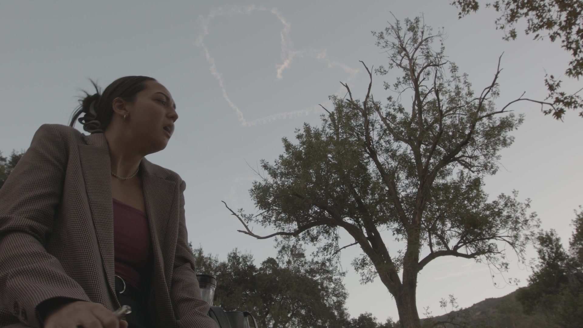 A low-angle view of Rosie beneath a tree and open sky.